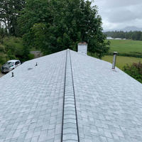roof with new vented Vented Ridge
